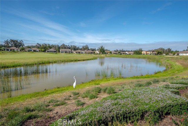 Detail Gallery Image 27 of 75 For 924 Miguel Ct, Nipomo,  CA 93444 - 2 Beds | 2/1 Baths