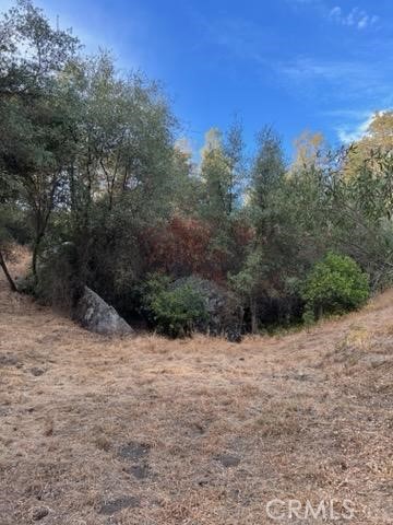 4116 Silver Bar Rd., Mariposa, California 95338, 2 Bedrooms Bedrooms, ,1 BathroomBathrooms,Single Family Residence,For Sale,Silver Bar Rd.,MP24194213