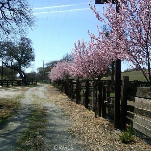 MLS #NS25280666 image #13