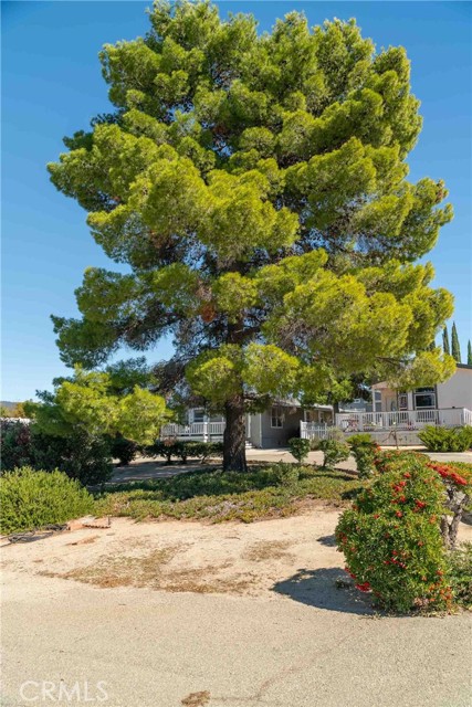 Detail Gallery Image 59 of 64 For 53651 Us Highway 371 #31,  Anza,  CA 92539 - 3 Beds | 2 Baths