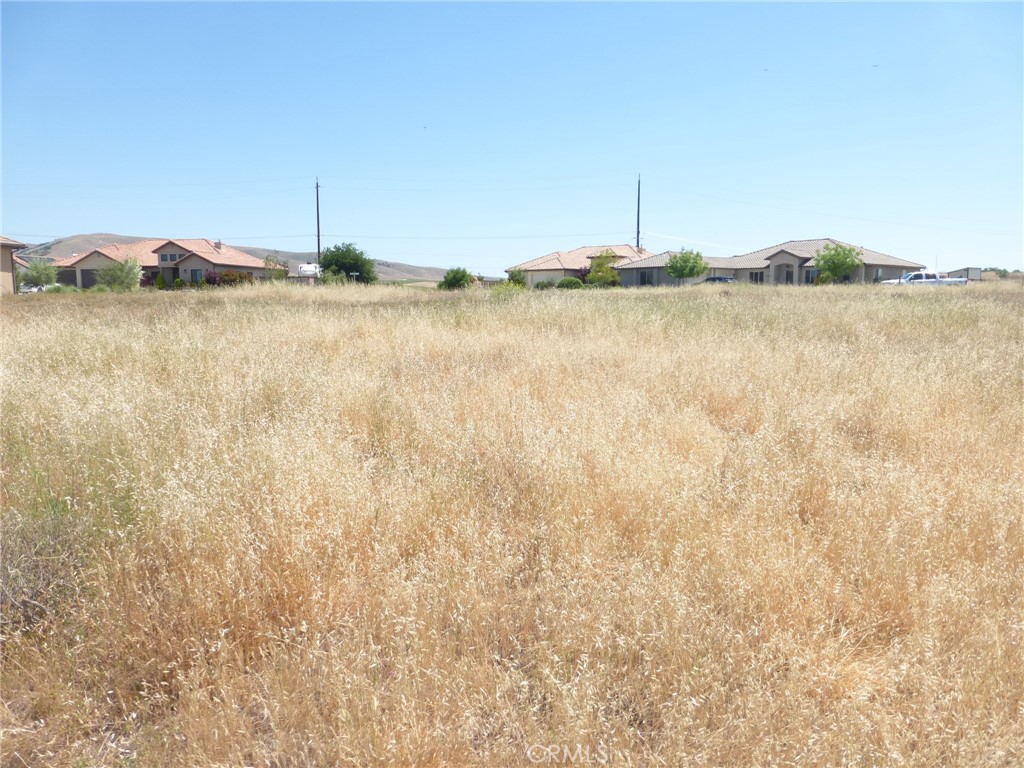 13105 River Bluffs (Lot 4) Lane