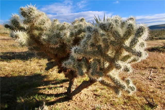 Detail Gallery Image 2 of 4 For 111 Perris, Landers,  CA 92285 - – Beds | – Baths