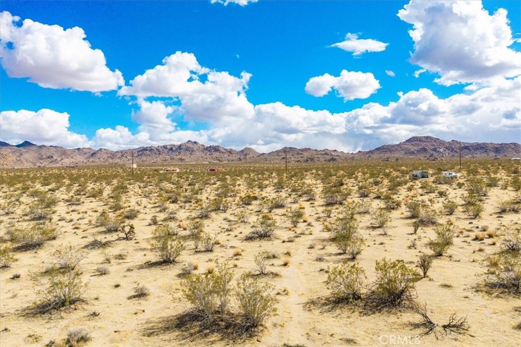 MLS #JT25078199 image #5