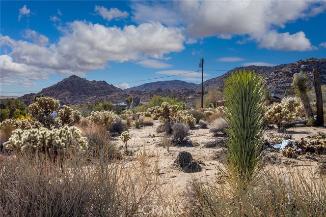 Detail Gallery Image 6 of 15 For 4444 Navajo Trl, Joshua Tree,  CA 92252 - – Beds | – Baths