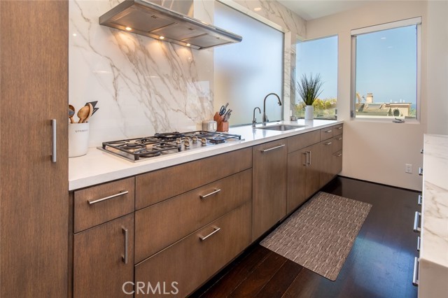 Miele and Wolf appliances