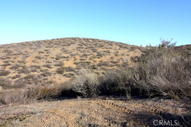 33687 N Sidney Circle, Winchester CA: https://media.crmls.org/medias/865b1d37-56f4-47ac-9d27-ea54529977a9.jpg