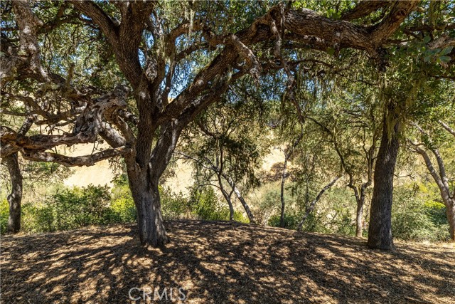 Detail Gallery Image 51 of 55 For 4276 Skylink Ln, Paso Robles,  CA 93446 - 2 Beds | 2 Baths
