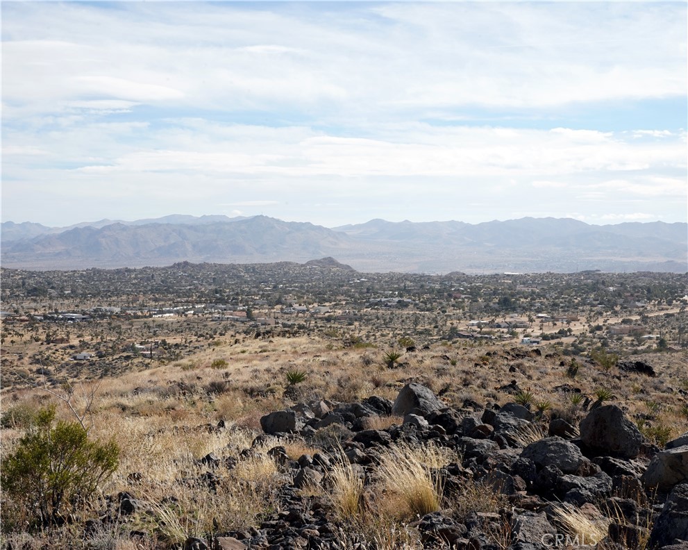 MLS #JT25189473 image #54