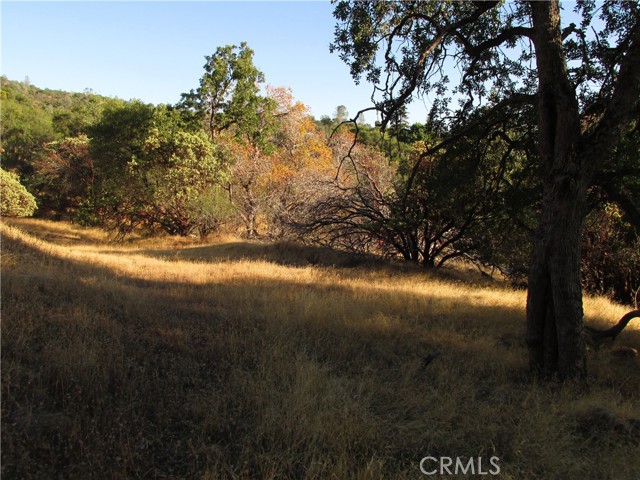 Detail Gallery Image 46 of 54 For 2 Ac Old Oaks Ct, North Fork,  CA 93643 - – Beds | – Baths
