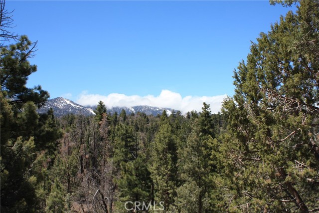Detail Gallery Image 47 of 55 For 615 Kean Way, Big Bear City,  CA 92314 - – Beds | – Baths