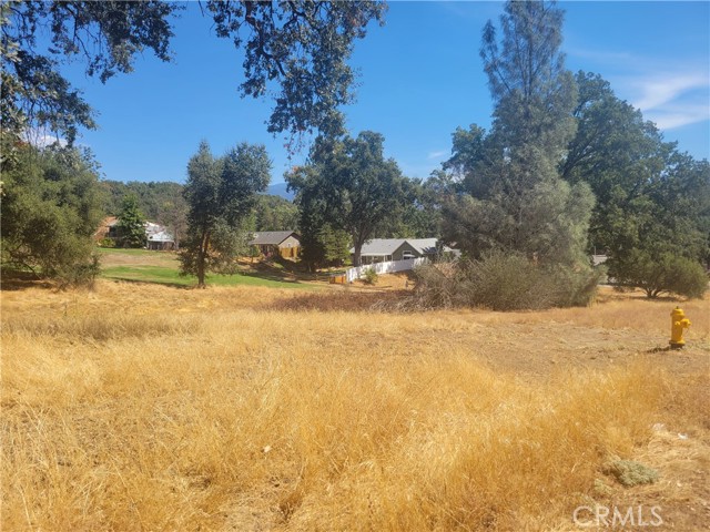 Detail Gallery Image 2 of 10 For 1 Acre Griffin Dr, Oakhurst,  CA 93644 - – Beds | – Baths