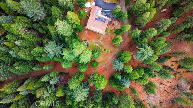 Detail Gallery Image 4 of 22 For 5435 Pine Ridge, Grizzly Flats,  CA 95636 - – Beds | – Baths