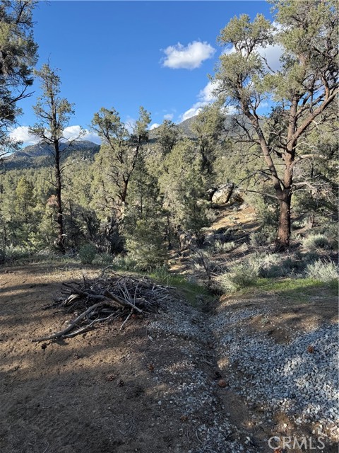 Detail Gallery Image 31 of 42 For 96484 Kennedy Meadows Rd, –,  CA 93527 - – Beds | – Baths