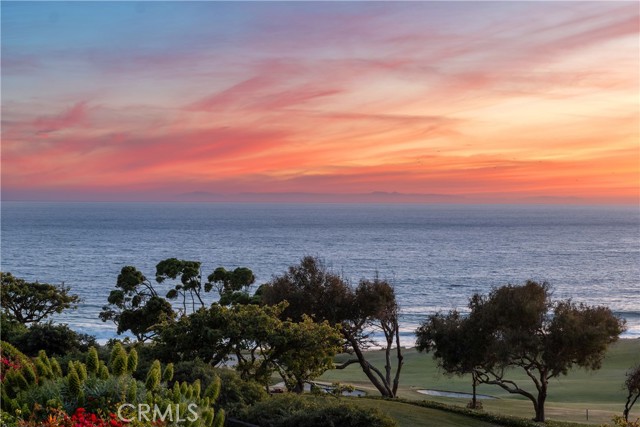 13 Ritz Cove Drive, Dana Point CA: https://media.crmls.org/medias/868825cc-70b8-484c-a179-f3e4c4377ba5.jpg