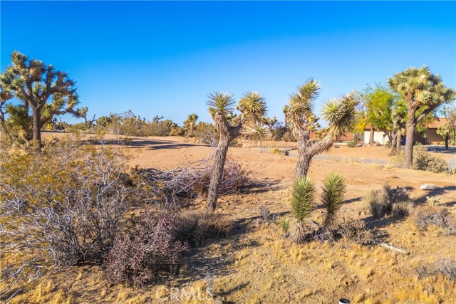 Detail Gallery Image 48 of 75 For 58871 Meredith Ct, Yucca Valley,  CA 92284 - 3 Beds | 2 Baths