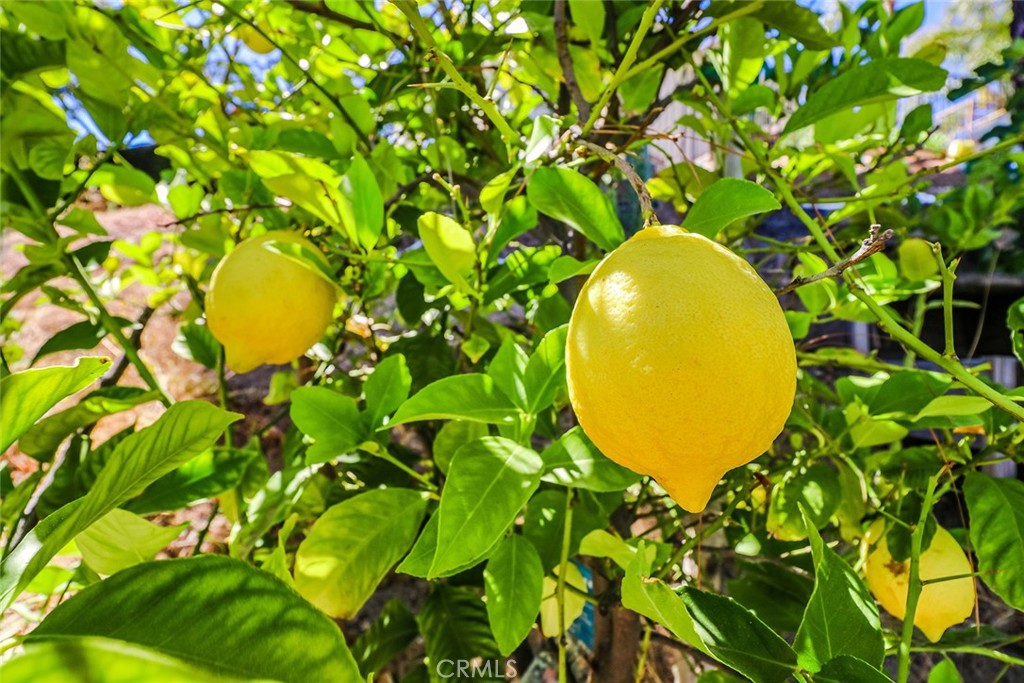https://media.crmls.org/medias/868ca127-a9e7-4a2e-95fa-d58193bfe118.jpg?preset=X-Large