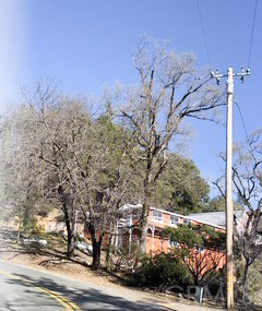 10705 Gifford Springs