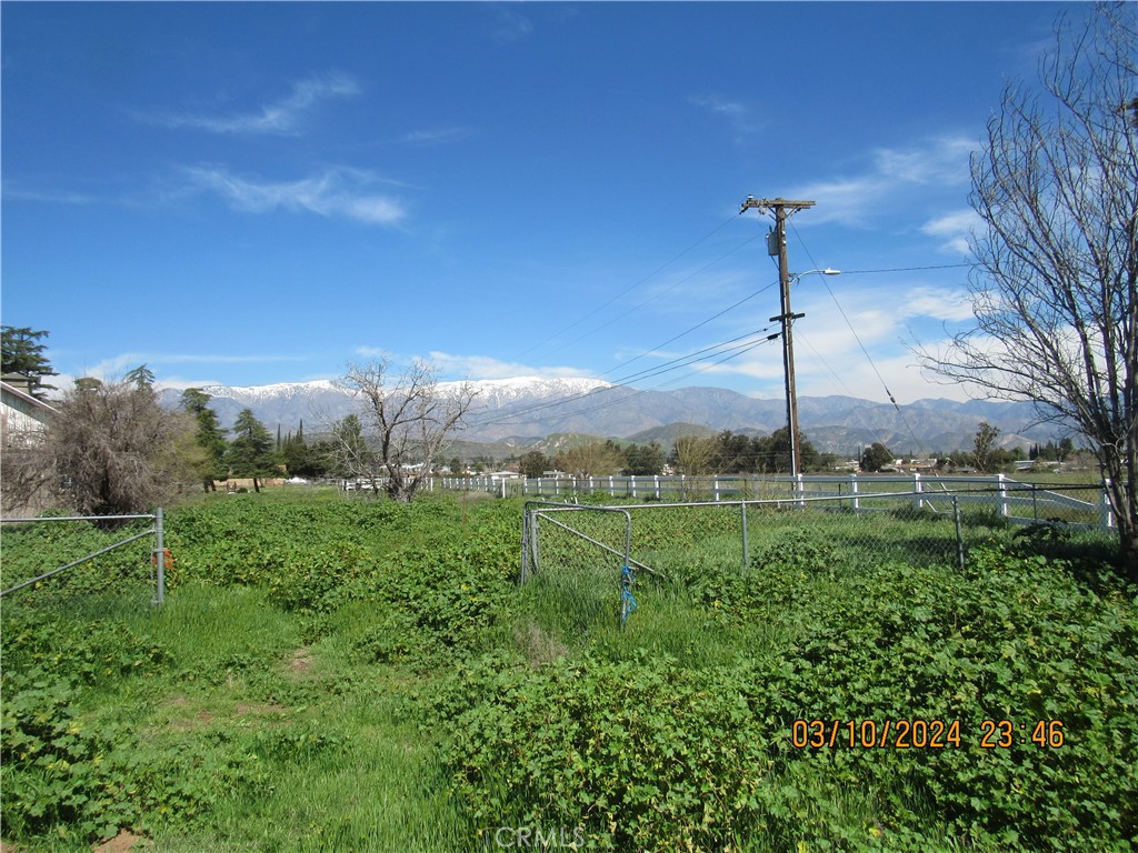 MLS #IV25050076 image #3