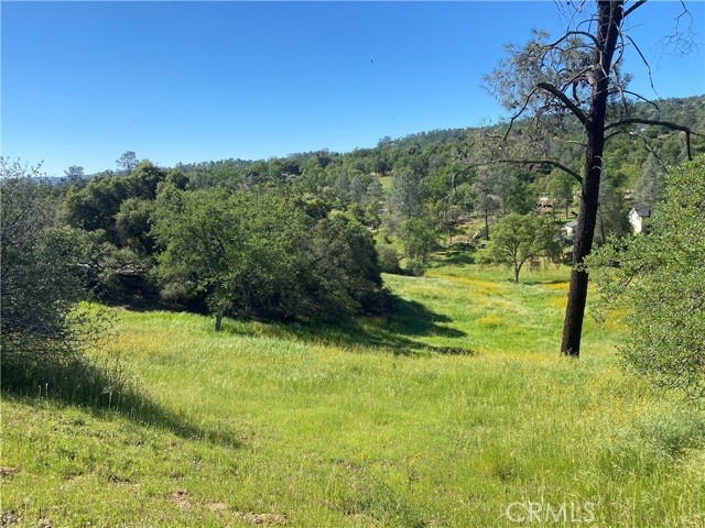 Front Image Thumbnail for CRFR26055573