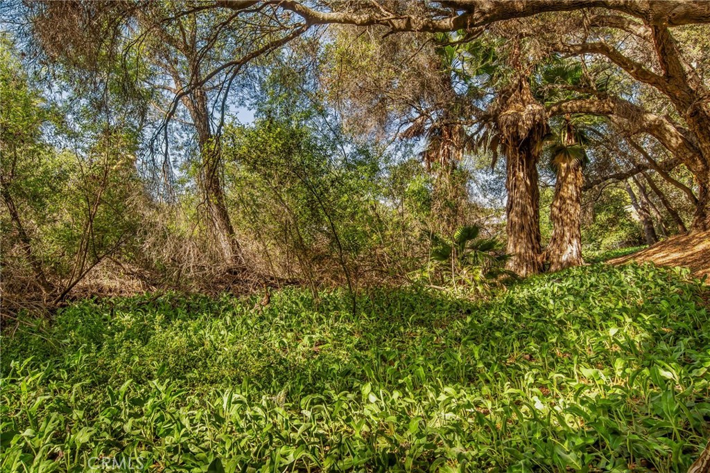https://media.crmls.org/medias/869ab929-a0f6-4c30-ad7d-776fd6401d52.jpg?preset=X-Large