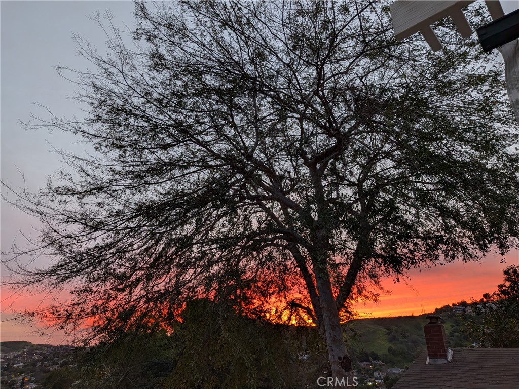 https://media.crmls.org/medias/869cb92c-ee23-4115-86cd-1c0d005b883b.jpg?preset=X-Large