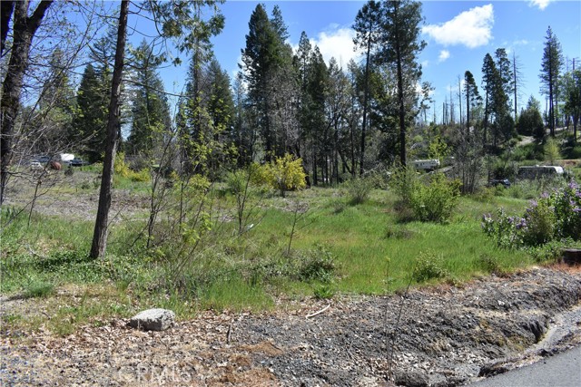 Detail Gallery Image 7 of 17 For 6 Sugar Pine, Berry Creek,  CA 95916 - – Beds | – Baths