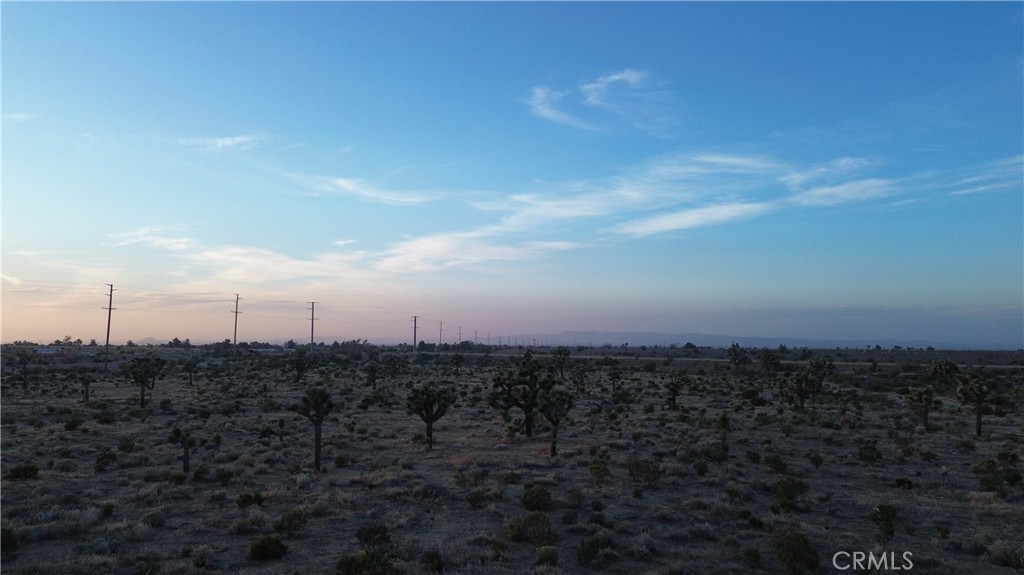 MLS #DW26110172 image #4