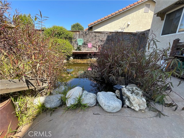 The koi pond is off of the back patio.