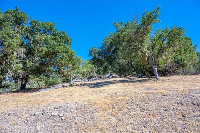 8315 Linda Vista Avenue, Atascadero CA: https://media.crmls.org/medias/86a45679-a399-4881-bd1b-5ca8587f7139.jpg