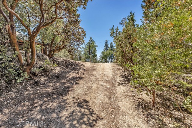 25405 Point Of Rocks Drive, Idyllwild CA: https://media.crmls.org/medias/86a45d7b-3b99-4d24-8a0e-bf432e6113ee.jpg