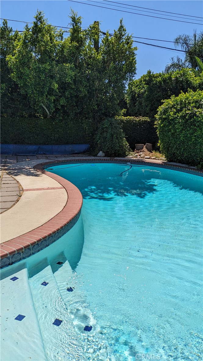 527 S Orchard DriveBurbank image #6