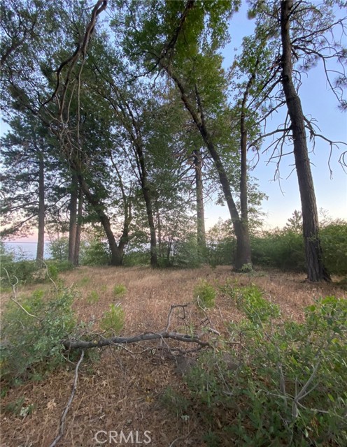 1 Fredalba Road, Running Springs CA: https://media.crmls.org/medias/86ac83ad-f40e-4843-9616-0c1084ca6a6f.jpg
