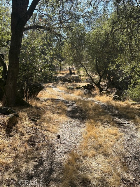 Detail Gallery Image 51 of 59 For 28923 Highway 41, Coarsegold,  CA 93614 - 3 Beds | 3 Baths