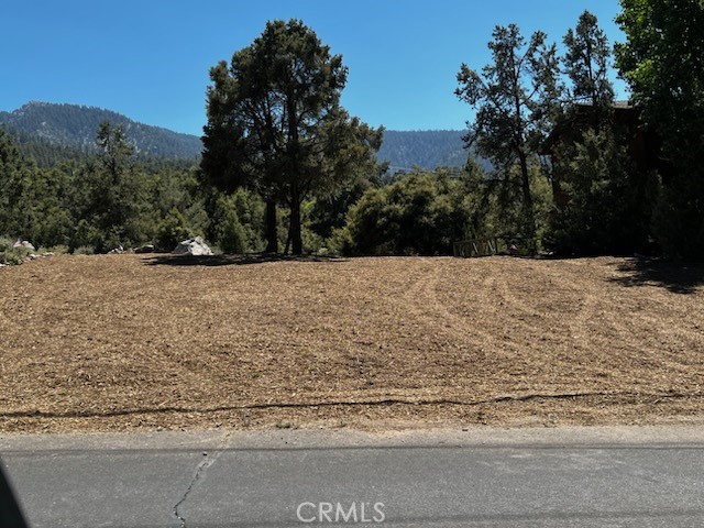 2045 Woodland Drive, Pine Mtn Club, California 93225, ,Land,For Sale,2045 Woodland Drive,CRSR24048274