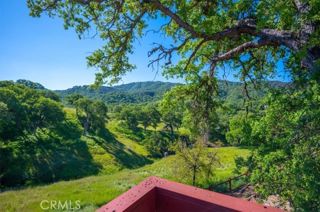 Detail Gallery Image 21 of 44 For 2311 Blue Heron Ln, Paso Robles,  CA 93446 - 3 Beds | 2/1 Baths