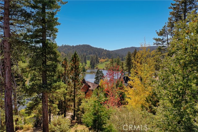 788 Brentwood Drive, Lake Arrowhead, California 92352, ,Land,For Sale,788 Brentwood Drive,CRRW23204974