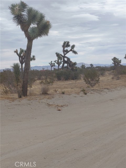  Land for Sale in Phelan, California