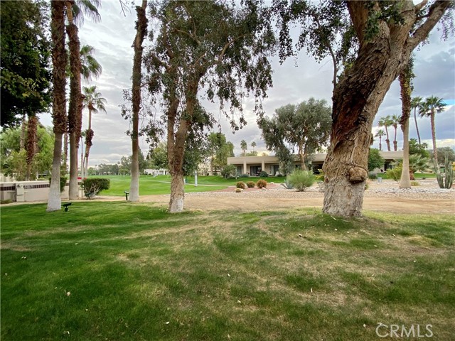 Image 6 for 67175  N Chimayo DR