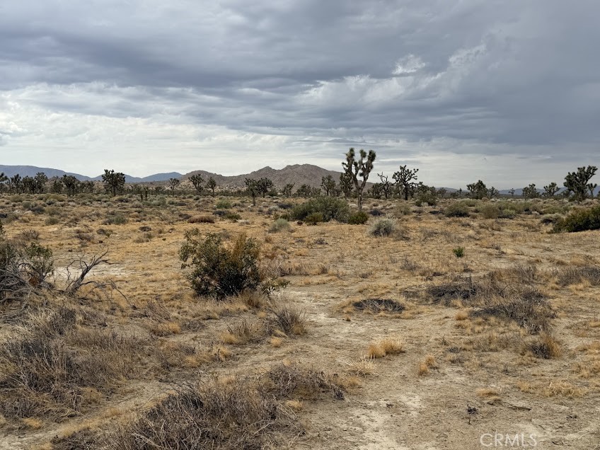 MLS #SR26165095 image #46