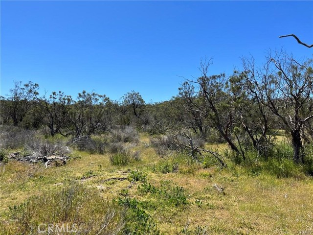 4 Barbara Trail, Aguanga, California 92536, ,Land,For Sale,4 Barbara Trail,CRIV24007079