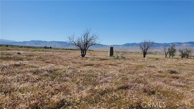 Detail Gallery Image 12 of 24 For 0 263rd St West North of Ave C13, –,  CA 93536 - – Beds | – Baths