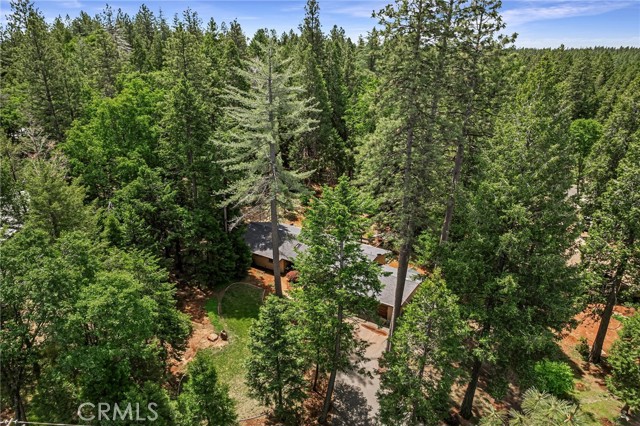 Detail Gallery Image 49 of 55 For 6612 Rosewood Dr, Magalia,  CA 95954 - 3 Beds | 2 Baths