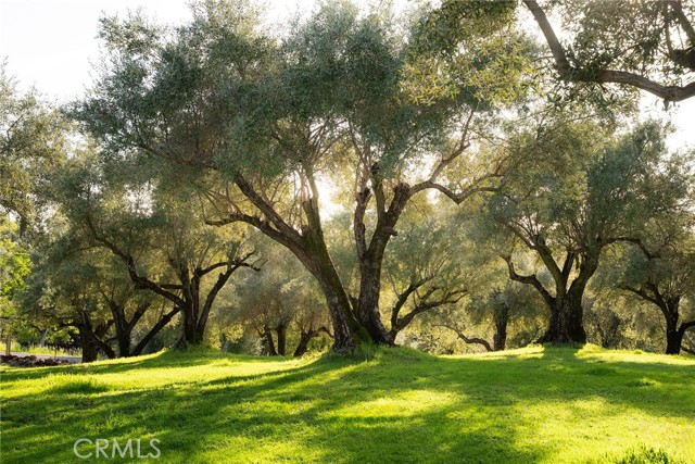Detail Gallery Image 64 of 73 For 3723 Foothill Bld, Oroville,  CA 95966 - 5 Beds | 4 Baths