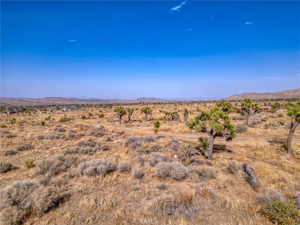 MLS #JT25046600 image #24