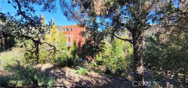 Detail Gallery Image 60 of 75 For 1317 Pinetree, Frazier Park,  CA 93225 - 3 Beds | 2 Baths