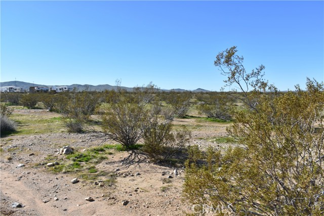 Detail Gallery Image 4 of 31 For 25 Frontier, Helendale,  CA 92342 - – Beds | – Baths