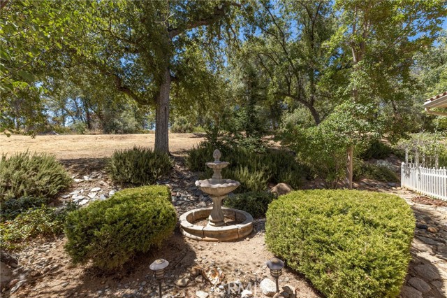 front yard area