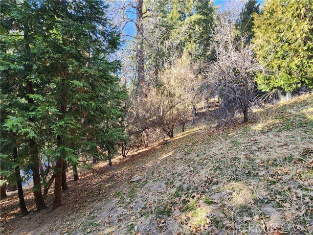 0 Basel Drive, Crestline CA: https://media.crmls.org/medias/870c3e74-7946-45c6-befb-f0003bb37e7b.jpg