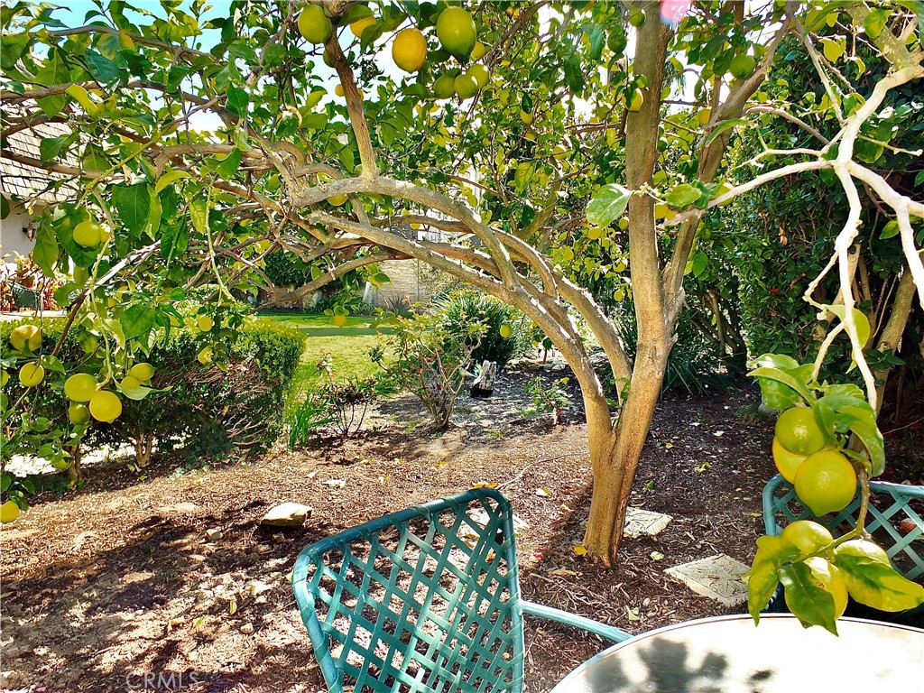 MLS #PW26140092 image #45