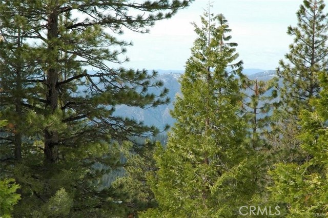 Detail Gallery Image 6 of 8 For 7486 Henness Ridge, Yosemite,  CA 95389 - – Beds | – Baths